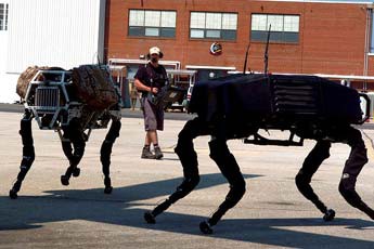 Two robotic dogs developed by Boston Dynamics