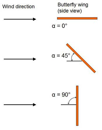 Drawing of a butterfly wing angled at zero, forty-five and ninety degrees into the wind