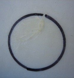 Close up photo of a piece of string in a black circle