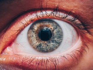 close up photo of an eye