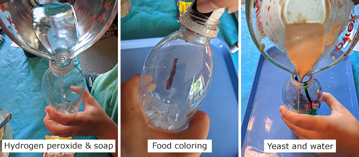 Three photos showing peroxide, food coloring, and yeast and water being added to a bottle to start the chemical reaction