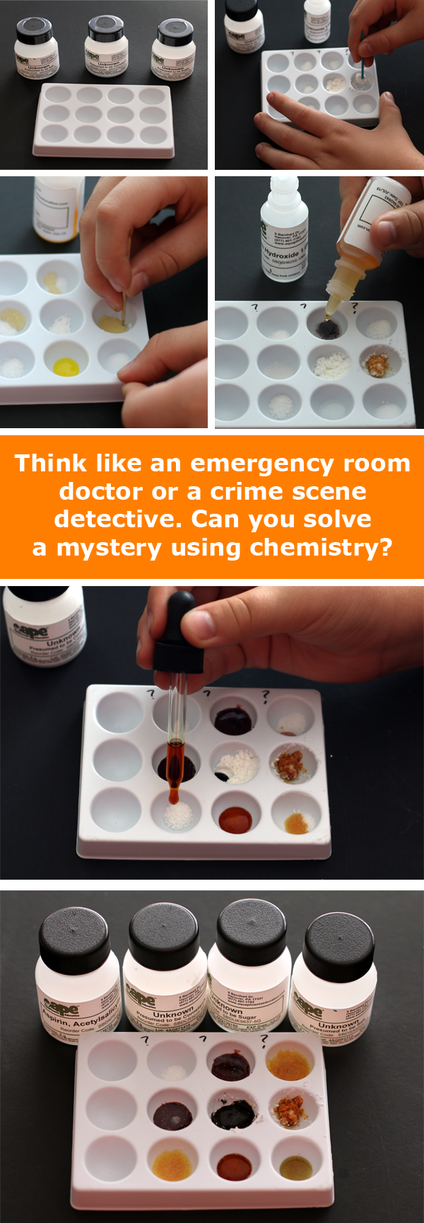 Crime Scene Chemistry project and kit