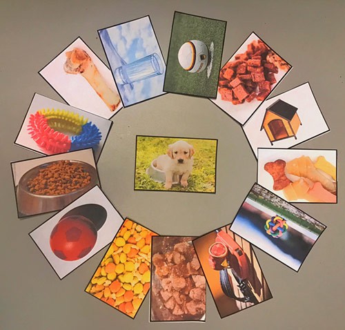 Photos of food, water, toys and shelter surround a photo of a dog