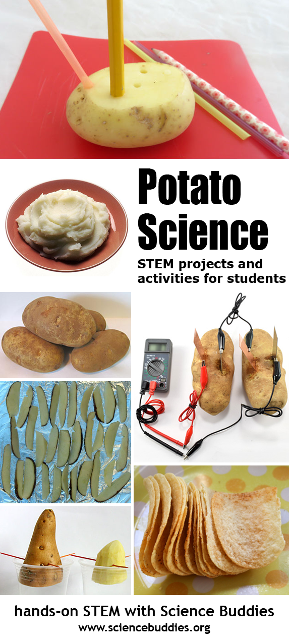 Potato Science Collection