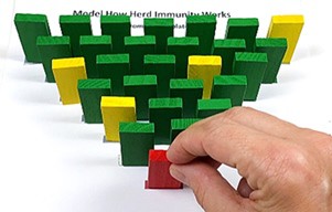 28 dominoes (23 green, 4 yellow, 1 red)) set up in a triangle formation. A red domino is at its tip.