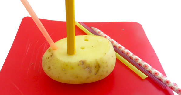 A raw potato with a pencil and a straw stuck in it from an experiment to drill holes in a potato using a simple machine
