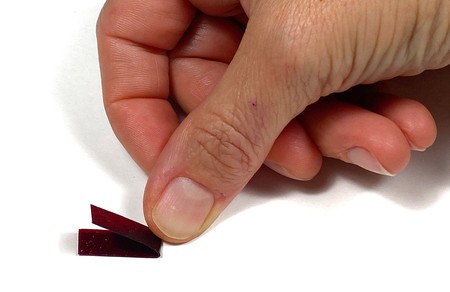 A hand folding an alginate biofabric sample strip. 