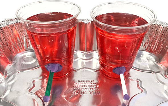 Two plastic cups filled with red liquid sit in an aluminum pan