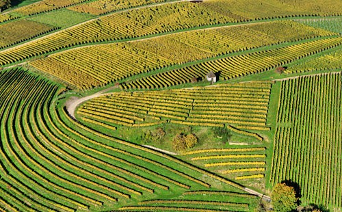 arial view of farmland 