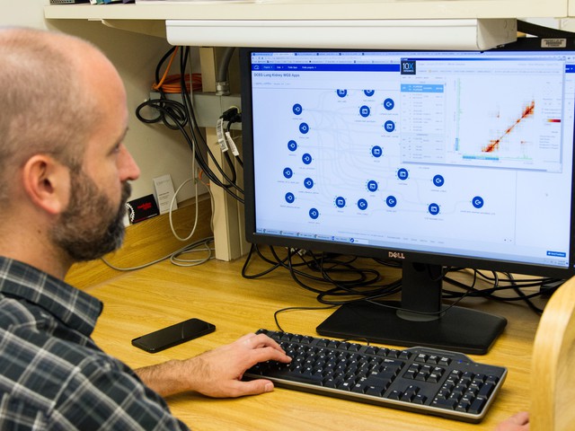 man looking at computer analysing DNA data