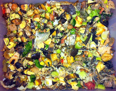 Inside of a compost bin with scraps of fruits and vegetables visible