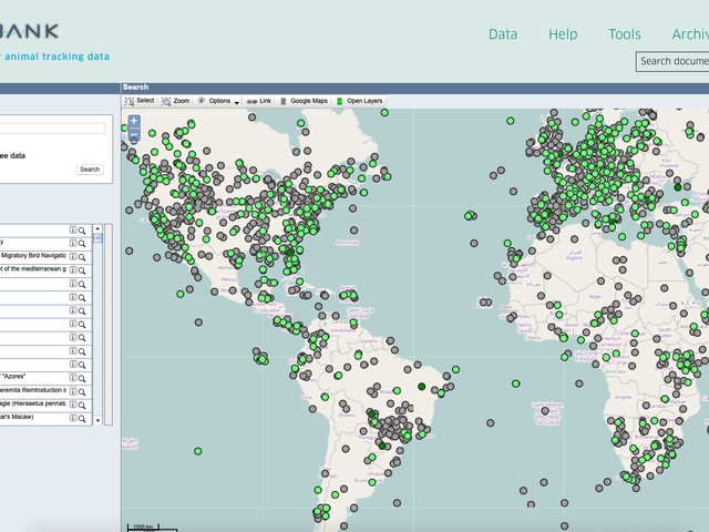 Screen shot of the Movebank databse