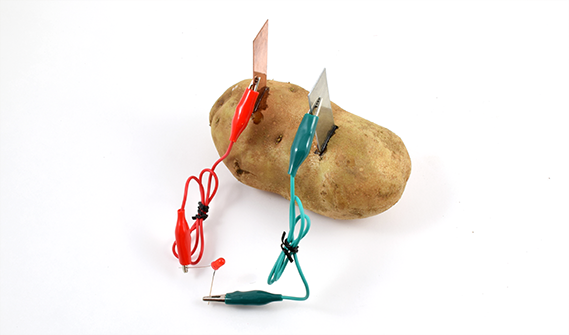 physics experiments electricity One potato with electrodes and a circuit with an LED