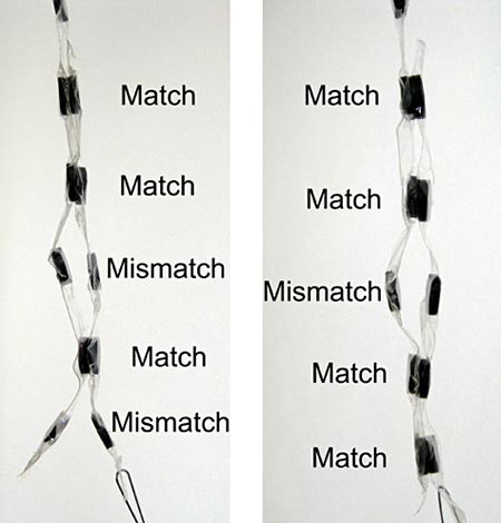 Two strips of tapes imbued with circular magnets are pressed together