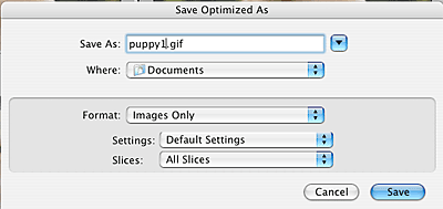 Screenshot of saving an optimized image in the program Photoshop
