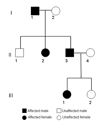 Drawing of a family tree with four black shapes and four white shapes