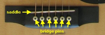 Close up view of an acoustic guitar's bridge with six bridge pins and a saddle