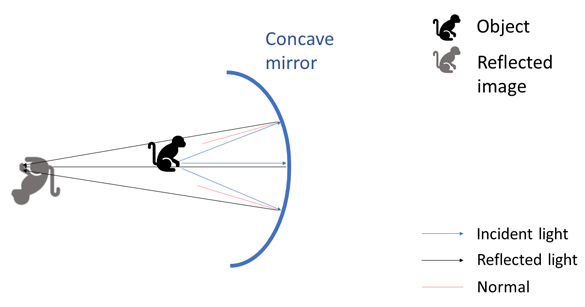 Drawing of a concave mirror reflecting the image of a monkey