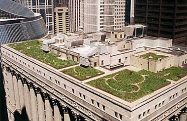 Photo of large gardens on the roof of a building in a city