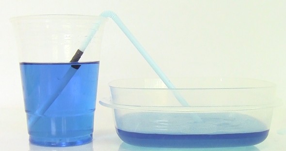 Two connected straws siphoning water from a tall cup to a shorter container