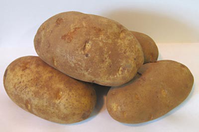 Four large Russet potatoes