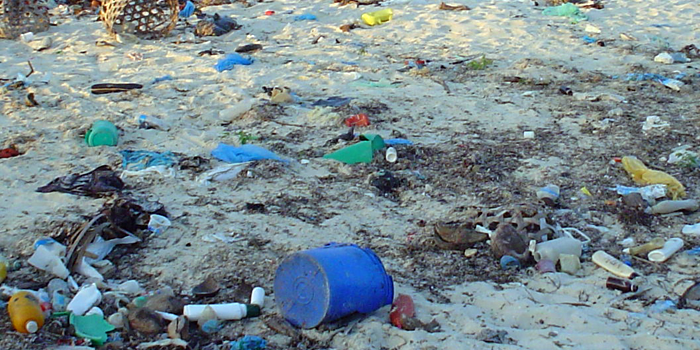 Trash spread across sand at a beach