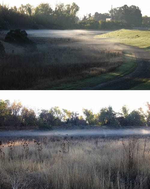 Two photos show a thin layer of fog forming over a field of grass