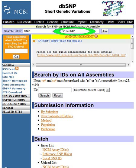 Screenshot of the SNP database at ncbi.nlm.nih.gov/projects/SNP