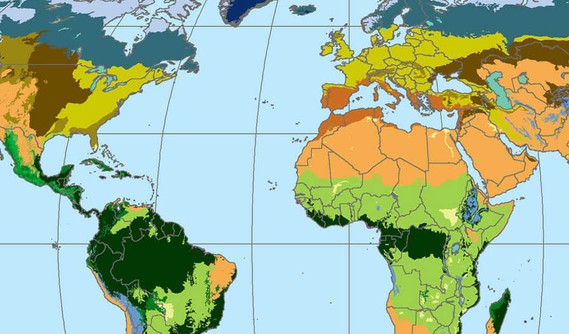 Help scientists map the bacterial jungle in your shower