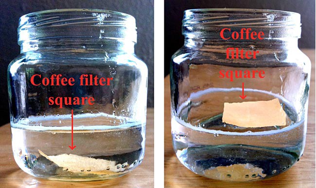 liver experiment with hydrogen peroxide