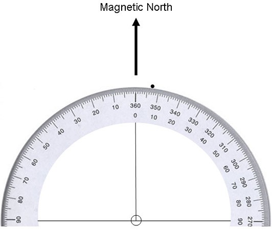 Using a protractor to plot a data point for one animal