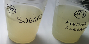 How do sugar substitutes compare to sugar in terms of sweetness? Weekly family science activity spotlight