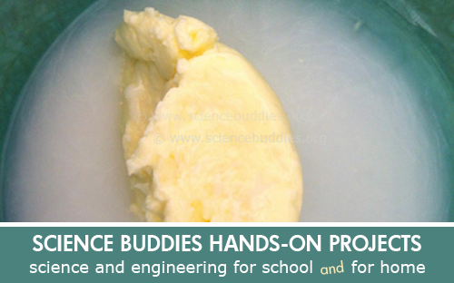 Weekly Science Activity Spotlight / Shaking Butter Hands-on Science Project for School or Family Science