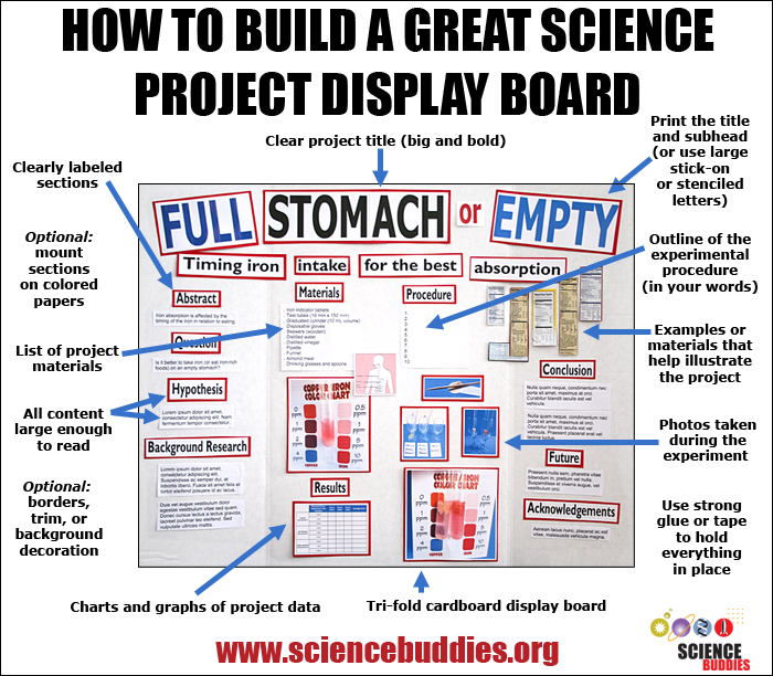 Diagram of an example science project display board with sections labeled