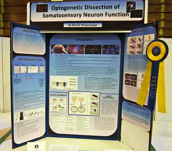 Science Fair Project Display Boards