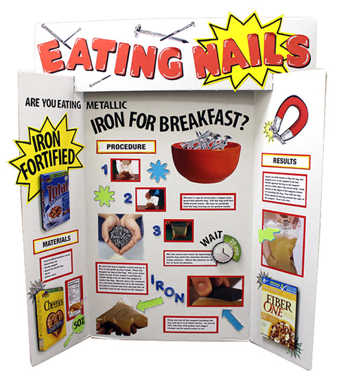 Science Fair Project Display Board Ideas Science Fair Project Display Board Ideas