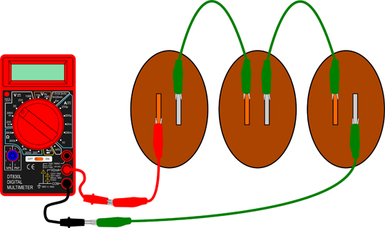 Drawing of Three potatoes each with zinc and copper electrodes are wired in series with a multimeter