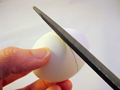 A triangular file scores the shell of an egg