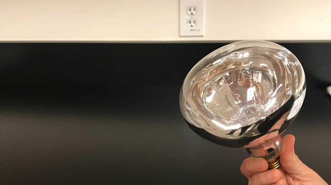 light bulb