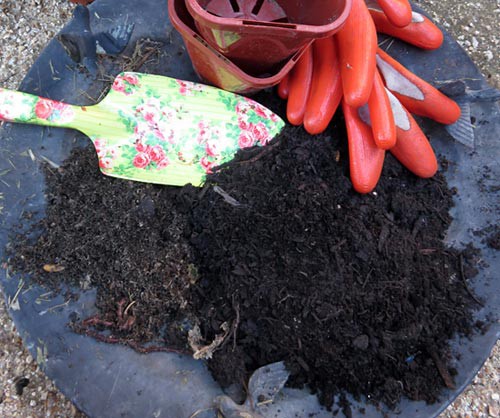 Two types of composted soil are compared side by side