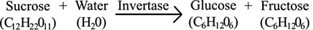 Formula to turn sucrose and water into glucose and fructose with the enzyme invertase