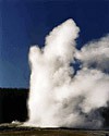 Photo of the Old Faithful geyser erupting with water and steam