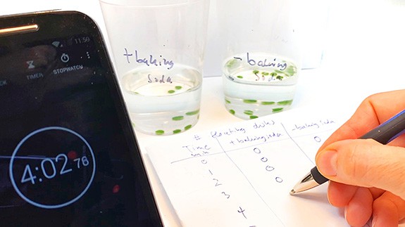 A timer shows 4:02 minutes. A hand is writing a number into a data sheet next to two cups filled with a solution and leaf disks.