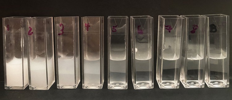Nine plastic cuvettes, each containing water with a different concentration of sunscreen.