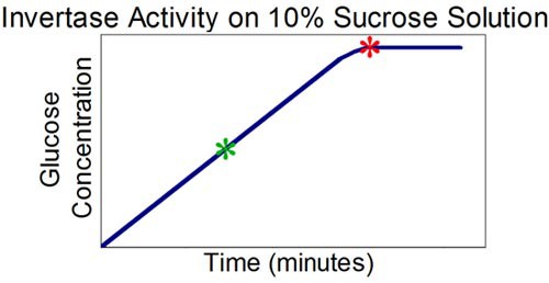 A simple graph of invertase converting sucrose to glucose at a constant rate until a plateau is reached
