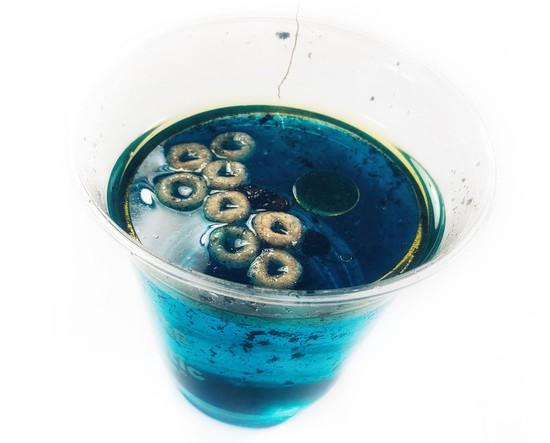 Blue water in a plastic cup, with soil, cereal, and oil floating in it. 