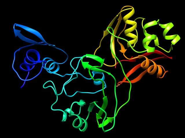 Protein structure