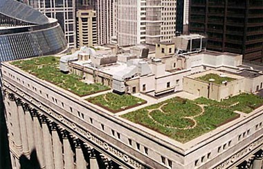 Photo of large gardens on the roof of a building in a city