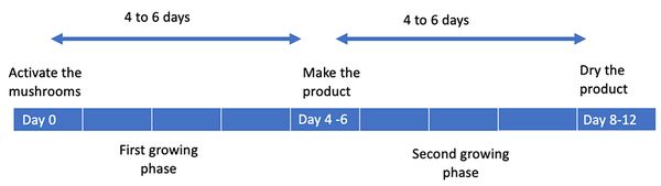 A timeline illustrating the time it takes to grow mycelium composite. Three steps are indicated: activate the mushrooms, make the product, and dry the product. These are separated by growing phases that are 4-6 days long.