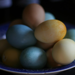 Egg Science / natural dyes